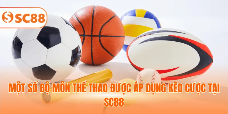 Một số bộ môn thể thao được áp dụng kèo cược tại SC88